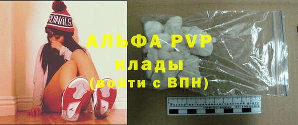 сатива Козловка