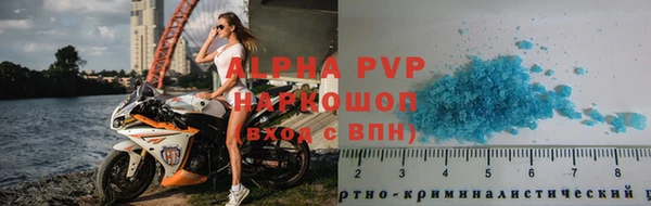 гидра Кодинск