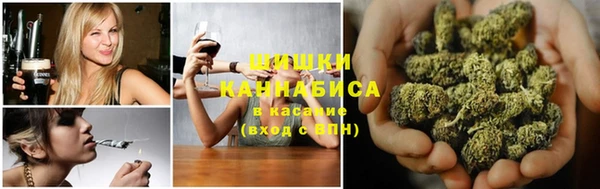 гидра Кодинск