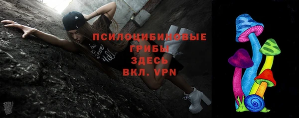 гидра Кодинск