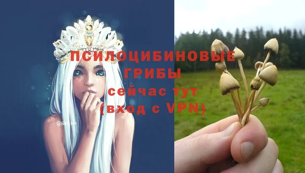 соль ск Козельск