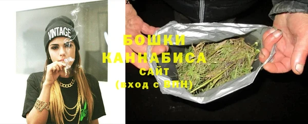 сатива Козловка