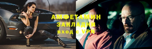 сатива Козловка