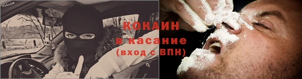 сатива Козловка