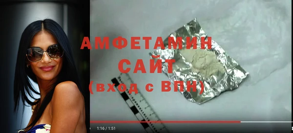 гидра Кодинск