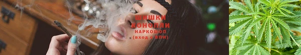 соль ск Козельск