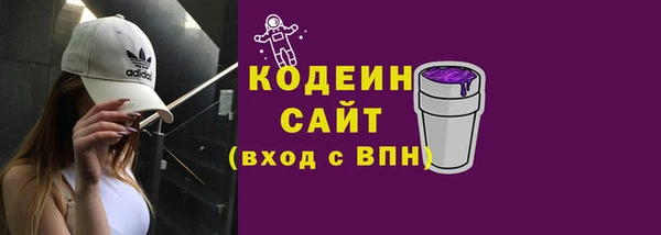 гидра Кодинск