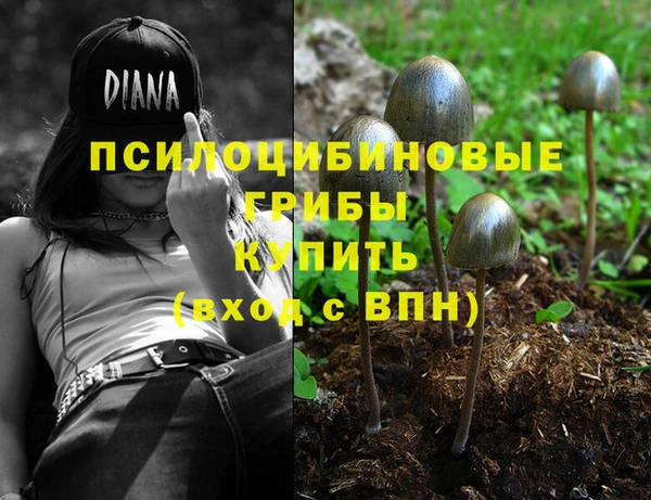 сатива Козловка