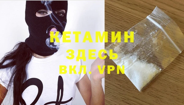 гидра Кодинск