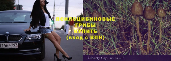 гидра Кодинск