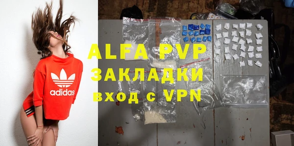 сатива Козловка