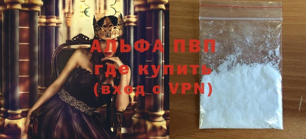сатива Козловка