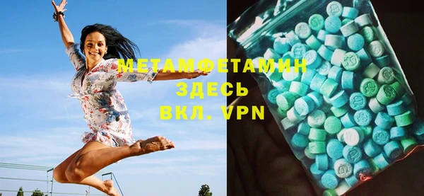 гидра Кодинск