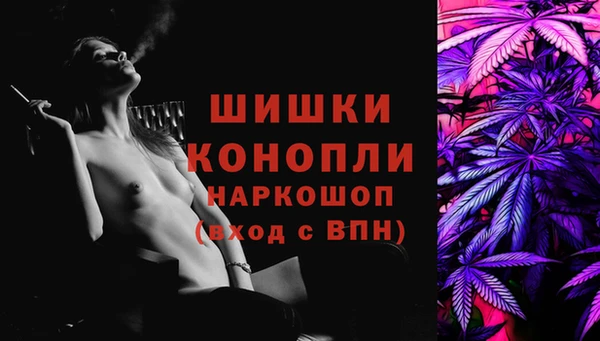 сатива Козловка